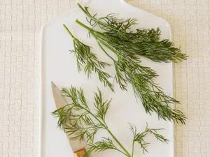 تصویر 3 از فروش عمده شوید خشک برای رستوران‌ها و هتل‌ها